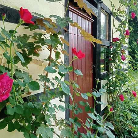 Bnb Het Geluk Van Limburg Mechelen Buitenkant foto