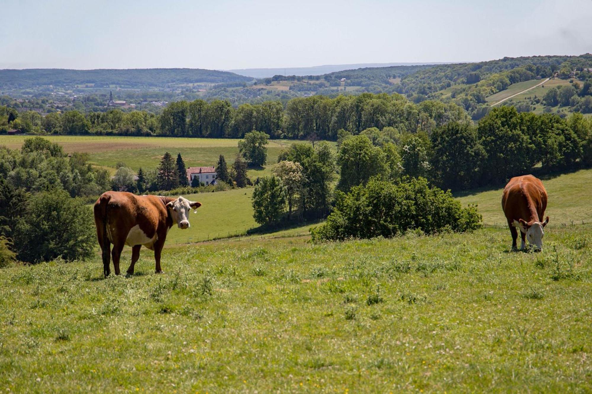 Bnb Het Geluk Van Limburg Mechelen Buitenkant foto