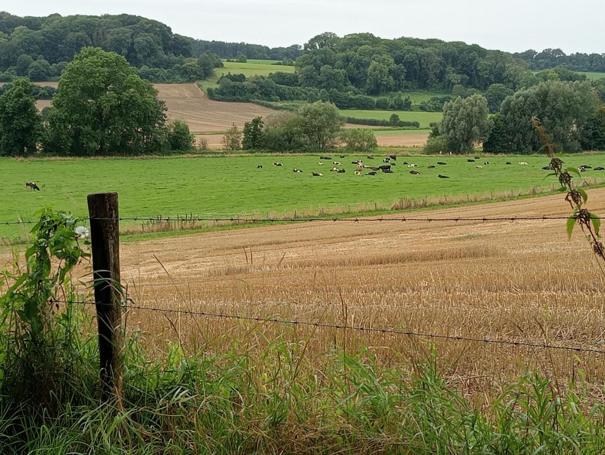 Bnb Het Geluk Van Limburg Mechelen Buitenkant foto