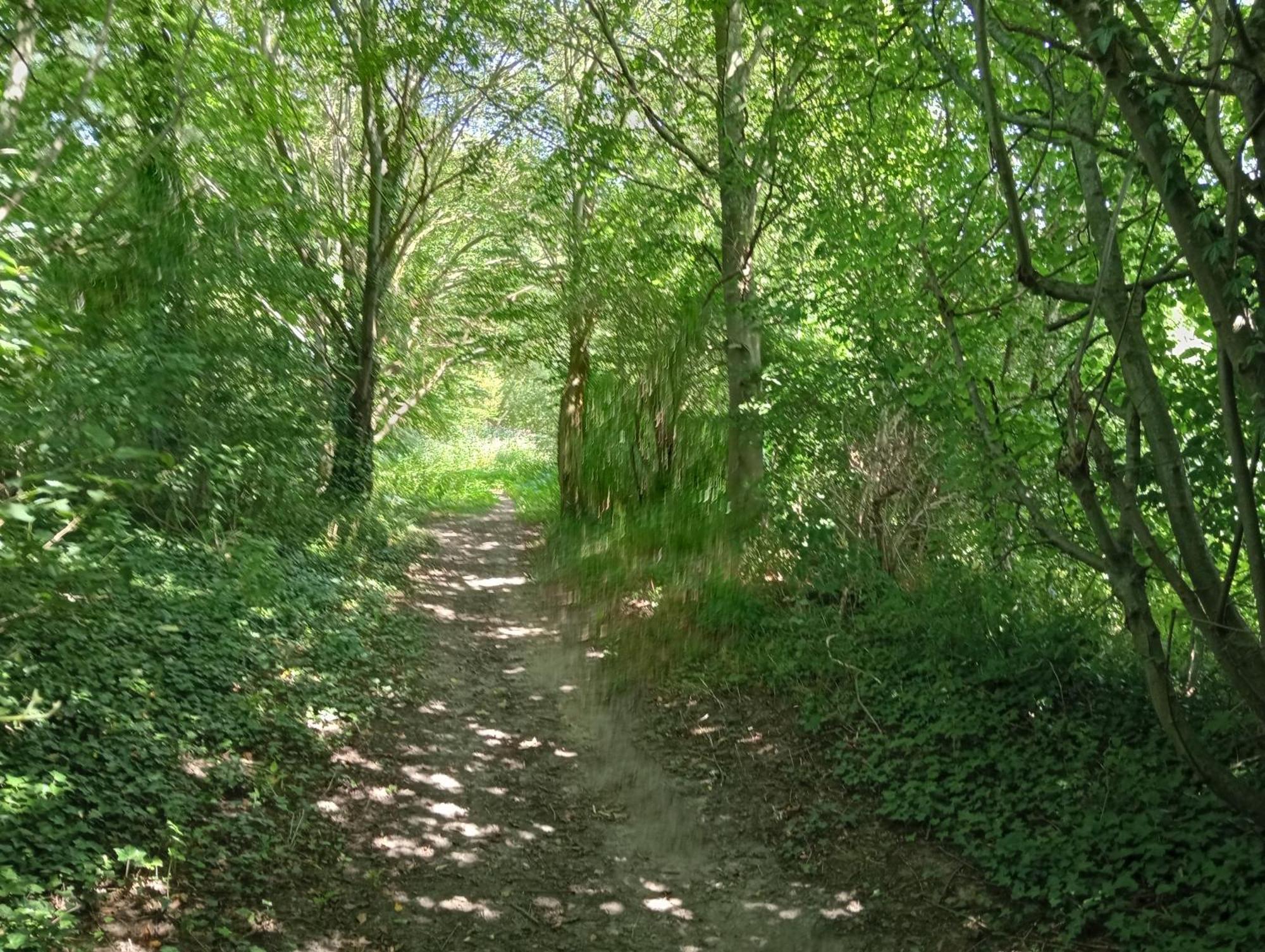 Bnb Het Geluk Van Limburg Mechelen Buitenkant foto