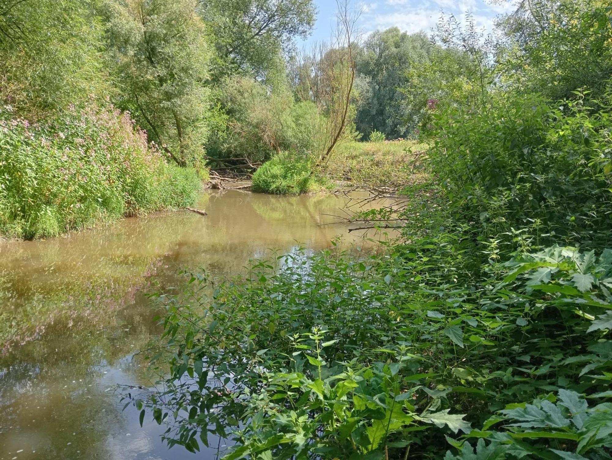 Bnb Het Geluk Van Limburg Mechelen Buitenkant foto