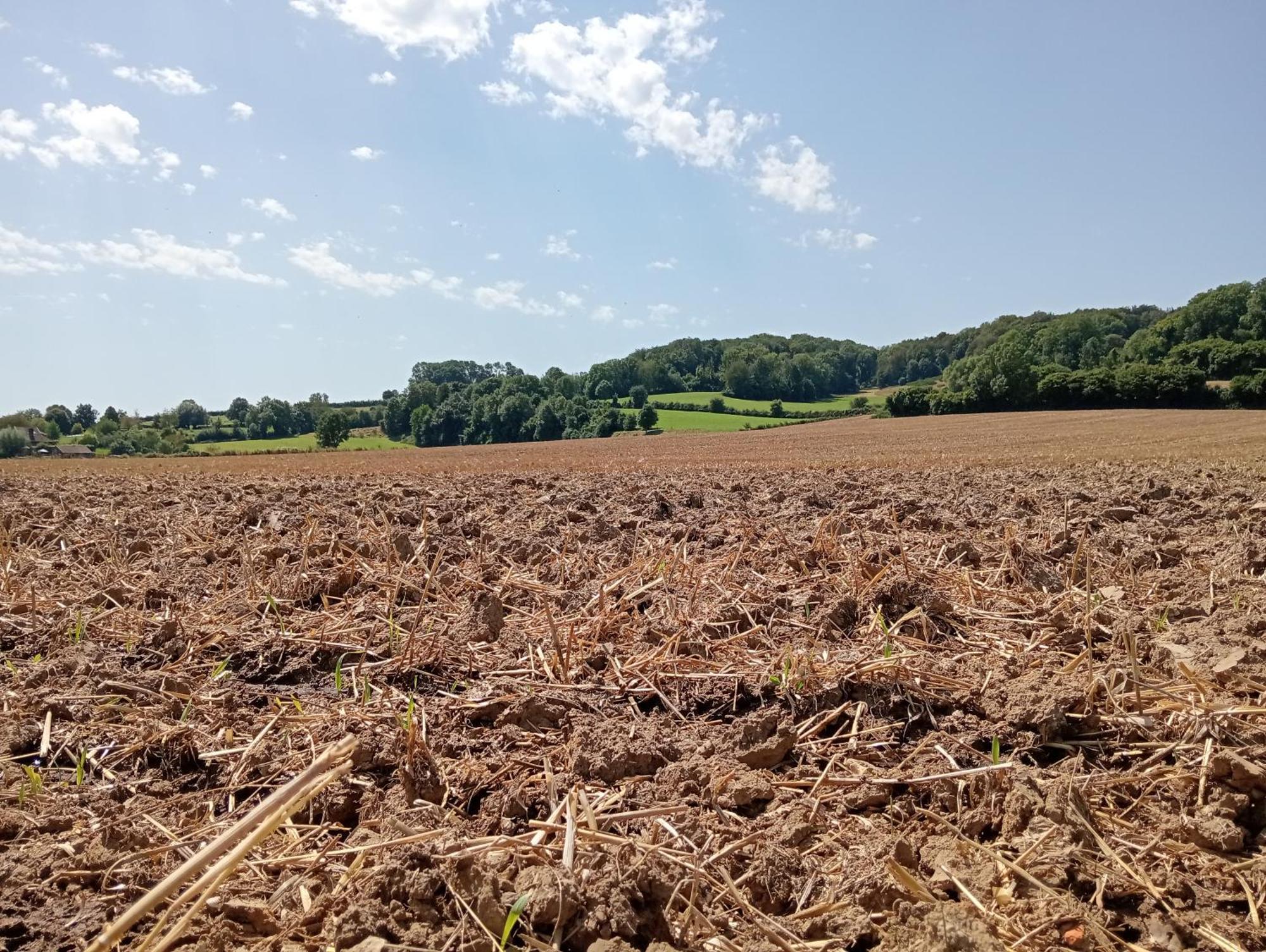 Bnb Het Geluk Van Limburg Mechelen Buitenkant foto