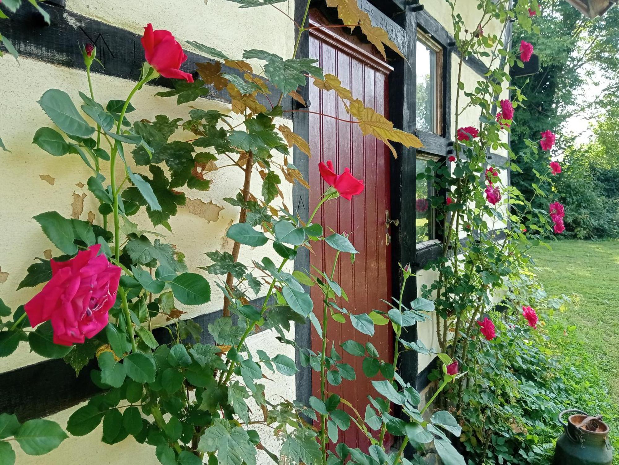 Bnb Het Geluk Van Limburg Mechelen Buitenkant foto